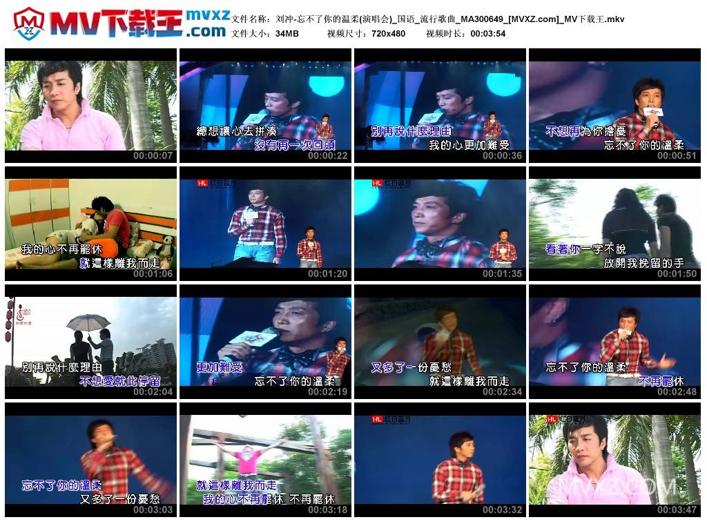 刘冲-忘不了你的温柔(演唱会)_国语_流行歌曲_MA300649